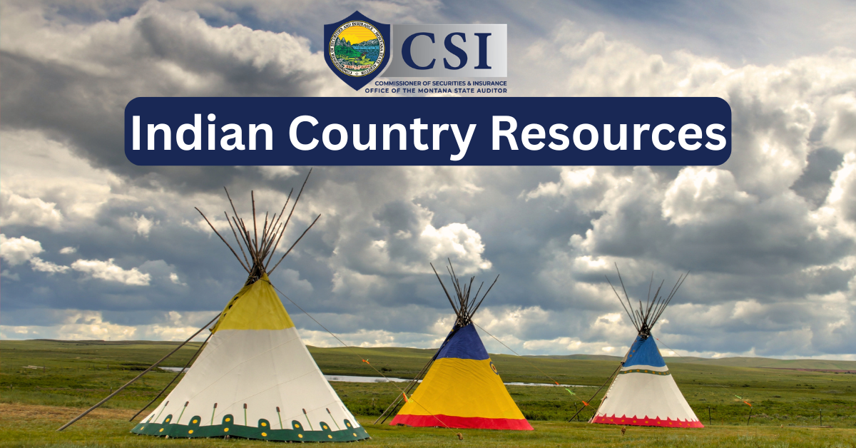 CSI logo atop a blue banner reading 'Indian Country Resources' over a row of colorful tipis on a grassy plain under a dramatic cloudy sky in a government resources image.